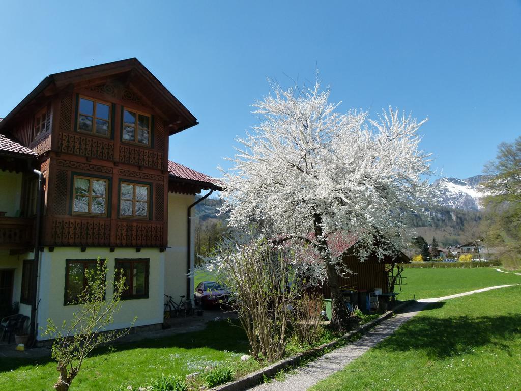 Apartment Haus Puntigam